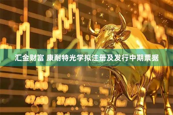 汇金财富 康耐特光学拟注册及发行中期票据