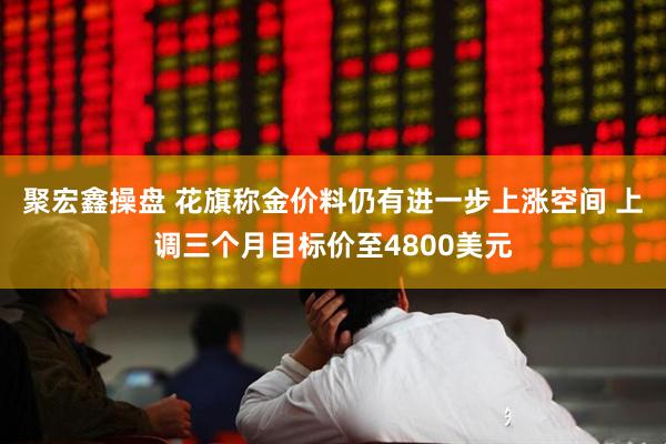 聚宏鑫操盘 花旗称金价料仍有进一步上涨空间 上调三个月目标价至4800美元